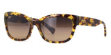 maui jim plumeria rs768 10l