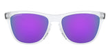 oakley frogskins oo9013 h7 prizm