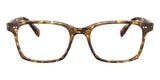 Oliver Peoples Nisen OV5446U 1700 Glasses