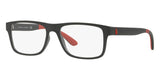 Polo Ralph Lauren PH2182 5284 Glasses