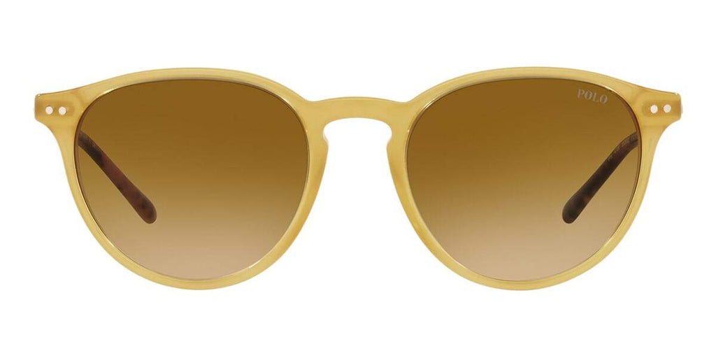 Polo Ralph Lauren PH4169 5005/2L Sunglasses