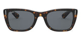 ray ban caribbean rb 2248 902r5