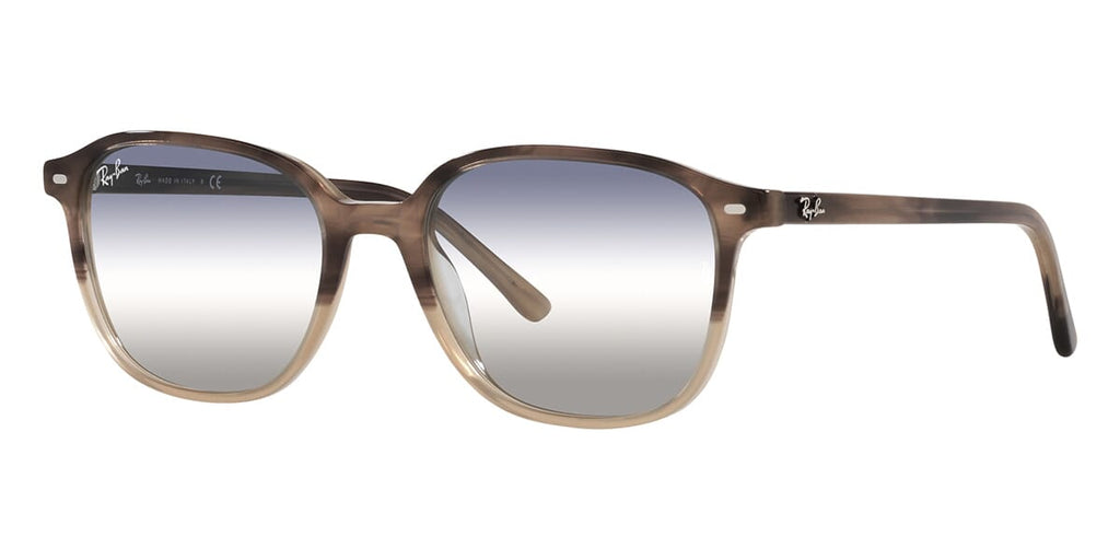 Ray-Ban Leonard RB 2193 1327/GF Sunglasses
