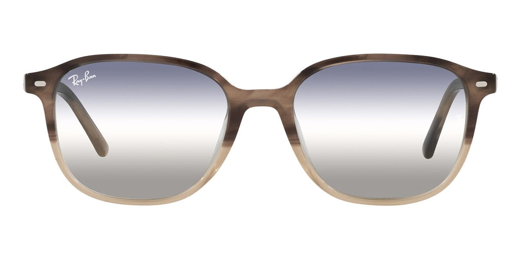 Ray-Ban Leonard RB 2193 1327/GF Sunglasses