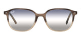 Ray-Ban Leonard RB 2193 1327/GF Sunglasses