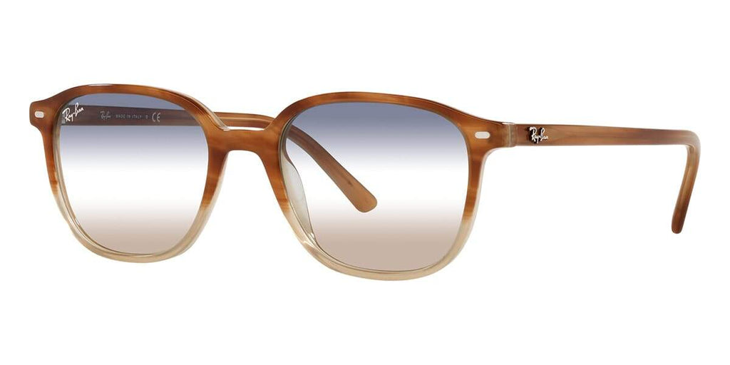 Ray-Ban Leonard RB 2193 1328/GD Sunglasses