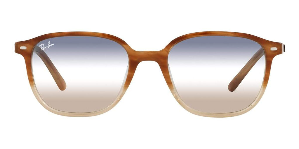 Ray-Ban Leonard RB 2193 1328/GD Sunglasses