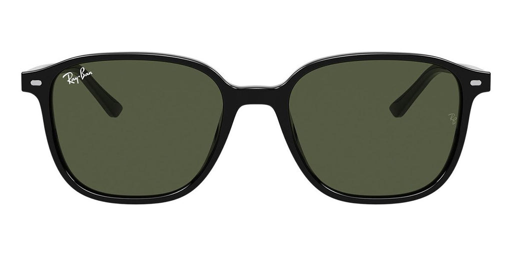 ray ban leonard rb 2193 90131