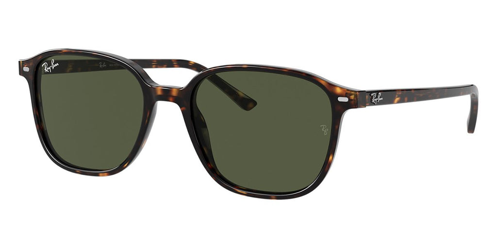 ray ban leonard rb 2193 90231