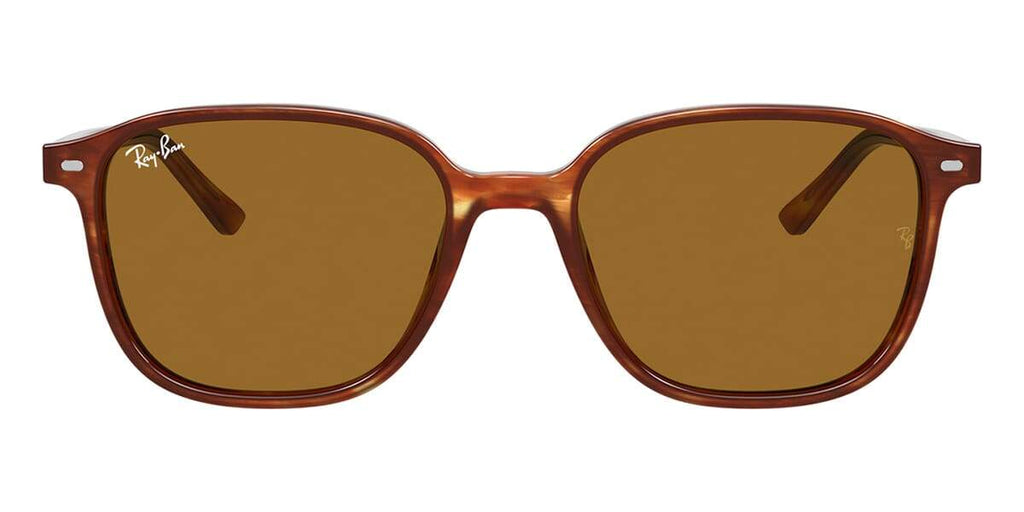 Ray-Ban Leonard RB 2193 954/33 Sunglasses
