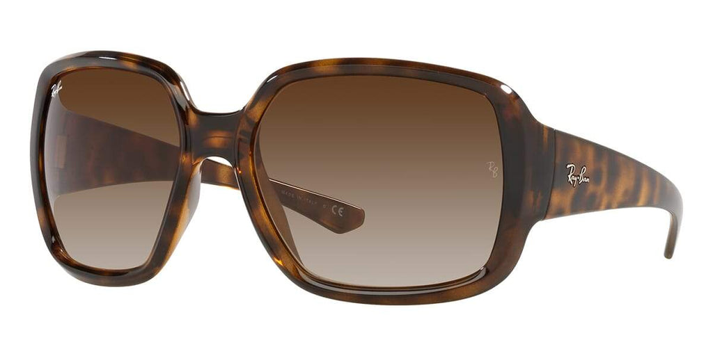 Ray-Ban Powderhorn RB 4347 710/13 Sunglasses