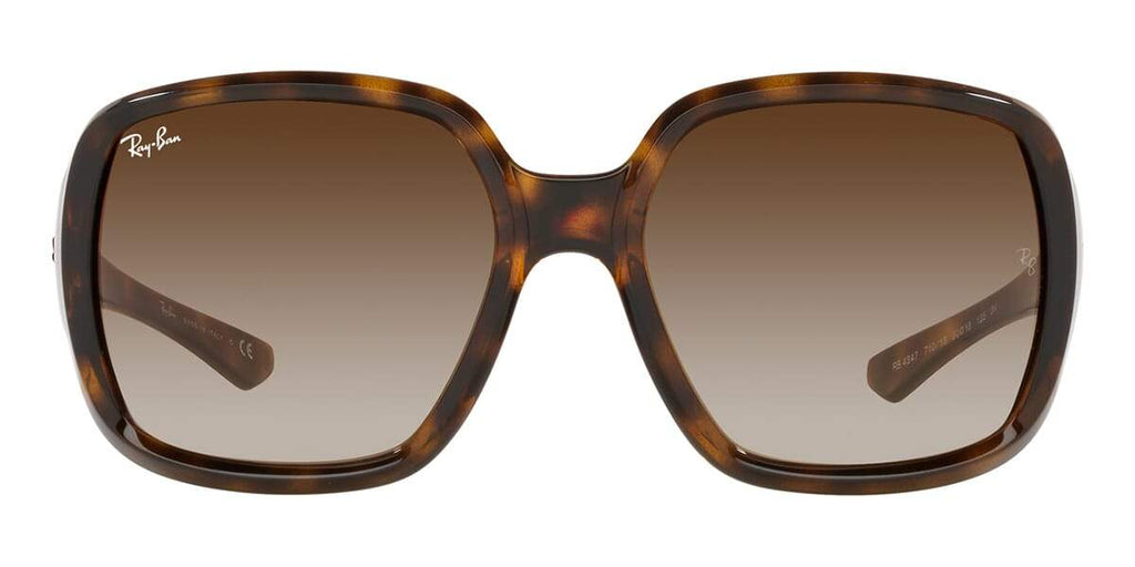 Ray-Ban Powderhorn RB 4347 710/13 Sunglasses