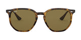 ray ban rb 4306 71073