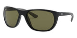 ray ban rb 4307 6019a polarised
