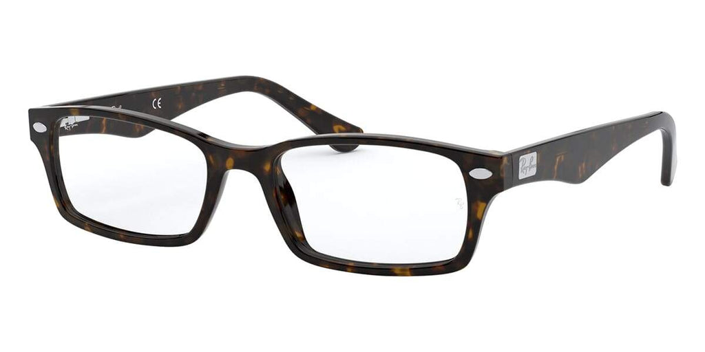 Ray-Ban RB 5206 2012 Glasses