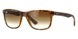 Ray-Ban RB 4181 710/51 Sunglasses