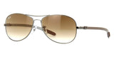 Ray-Ban RB 8301 004/51 Sunglasses