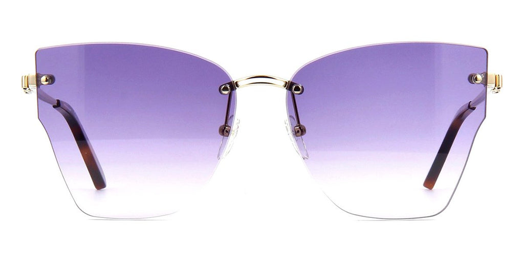 salvatore ferragamo sf223s 702