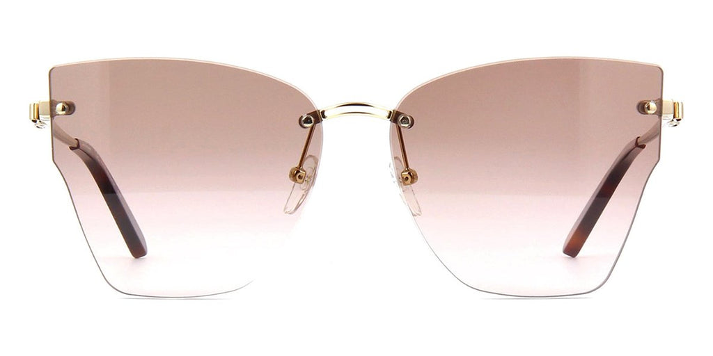 salvatore ferragamo sf223s 704