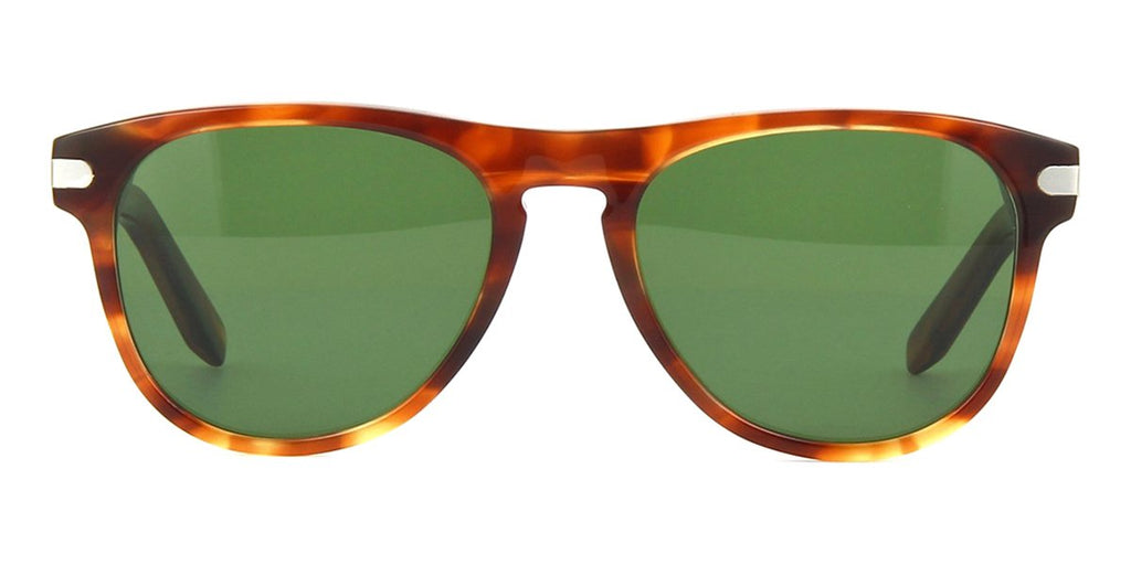 salvatore ferragamo sf916s 214