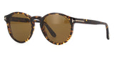 tom ford ian 02 tf591 52m polarised